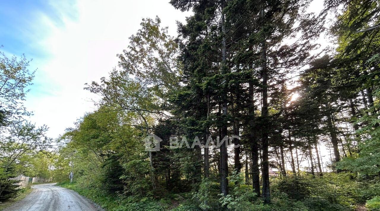 земля г Южно-Сахалинск с Елочки ДНТ, Корсаковский городской округ фото 11