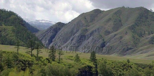 ул Центральная фото