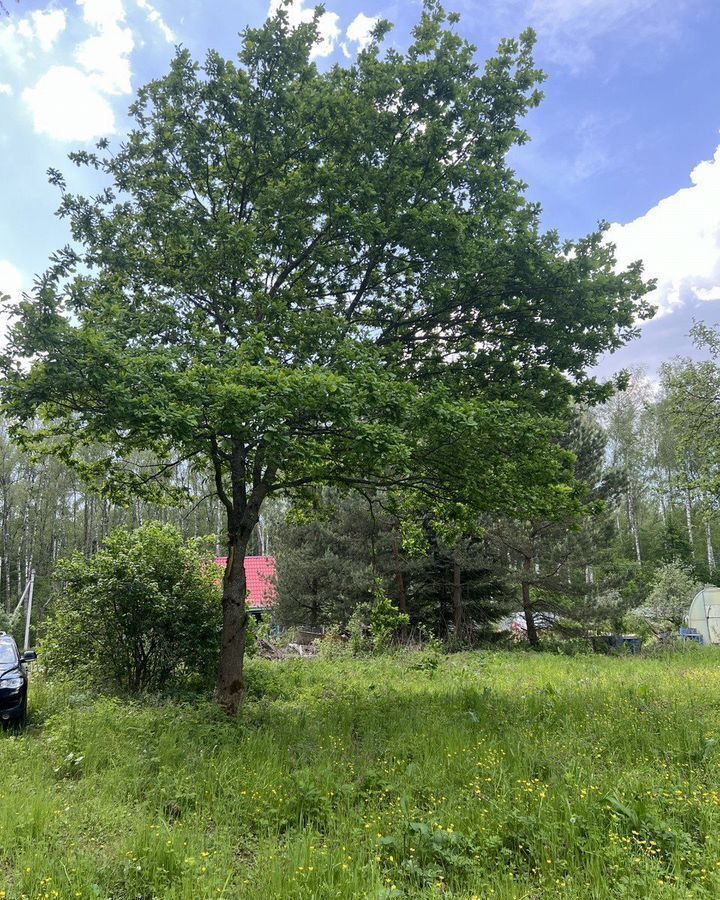 земля г Коломна п Новоселки снт тер.Таежный 77 км, 288, Первомайский, Каширское шоссе фото 6