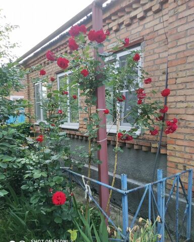 ул Свечкарева 102 Советский муниципальный округ фото