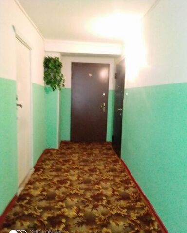дом 223 фото