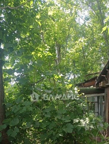 р-н Левобережный снт Садовод ВАСО ул 23 фото
