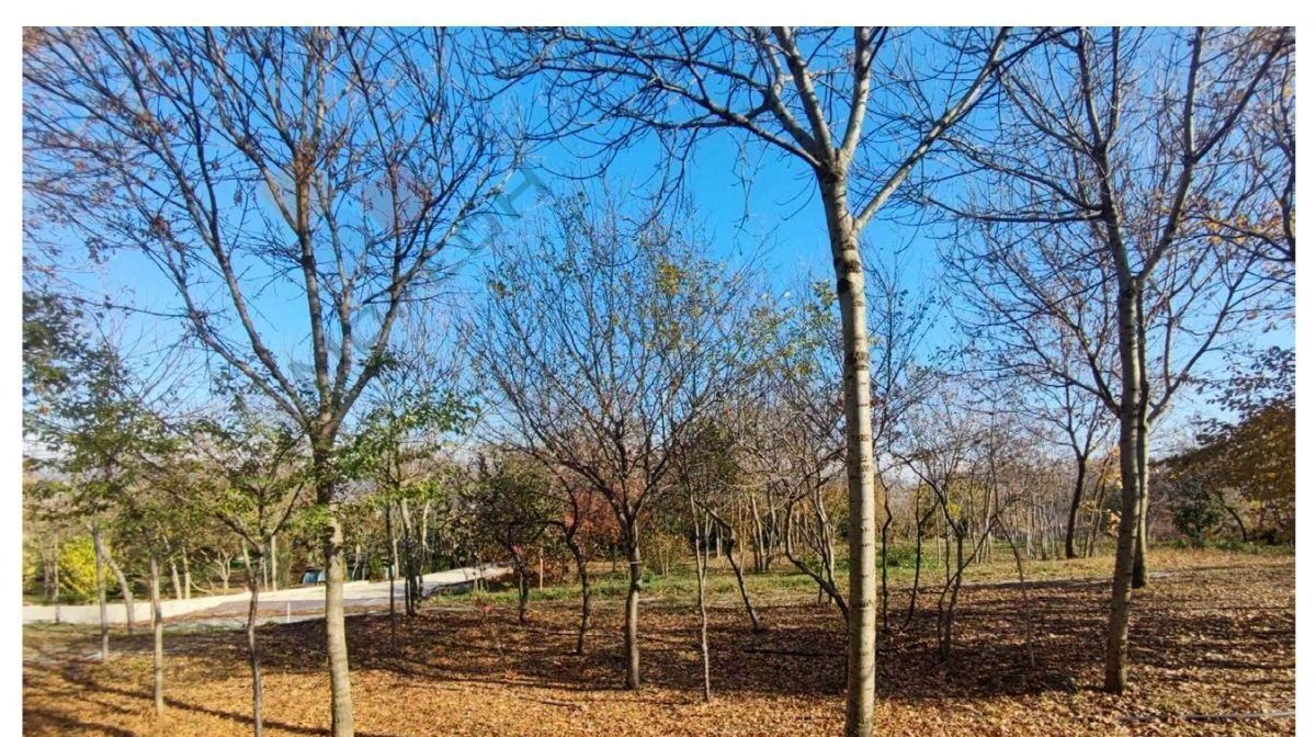 офис г Новороссийск с Борисовка пер Калиновый 9 фото 4