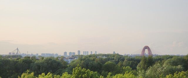 метро Терехово ул Нижние Мнёвники 9 ЖК «Остров» муниципальный округ Хорошёво-Мнёвники фото