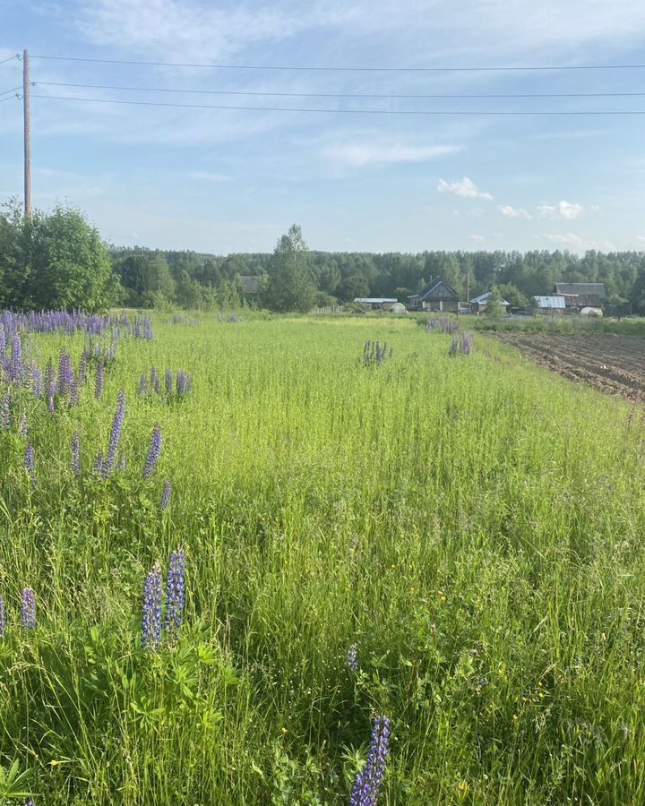 земля р-н Городецкий г Городец с. Смольки фото 1