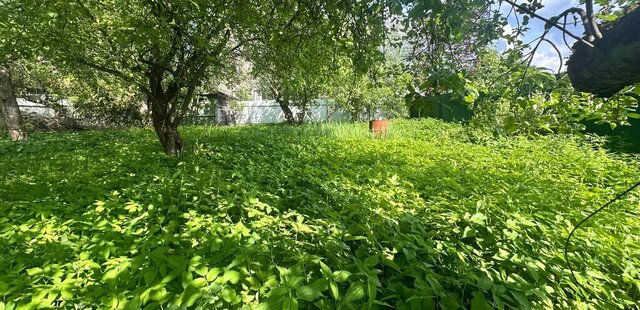снт Дружба 557 фото