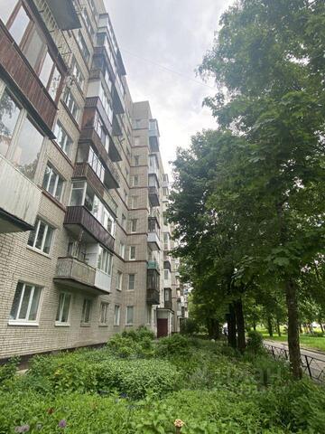 ш Кингисеппское 6 р-н Красносельский Ленинградская область фото