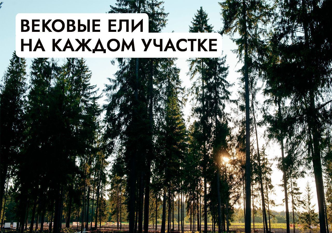 земля г Клин 54 км, эко-посёлок Ели эстейт, Новопетровское, Ленинградское шоссе фото 18