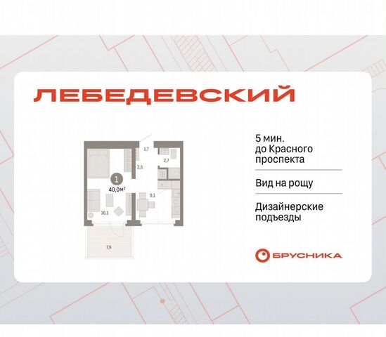 р-н Заельцовский Заельцовская дом 1 ЖК «Лебедевский» фото