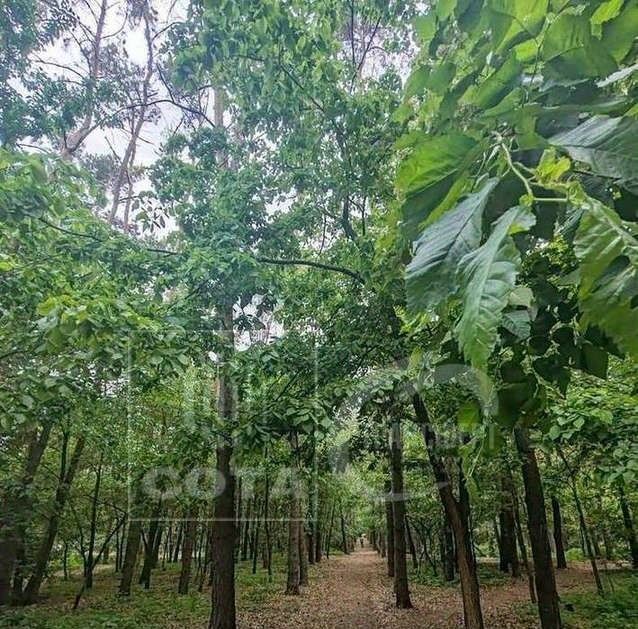 квартира г Воронеж р-н Центральный ул Ломоносова 114/22к 2 фото 38
