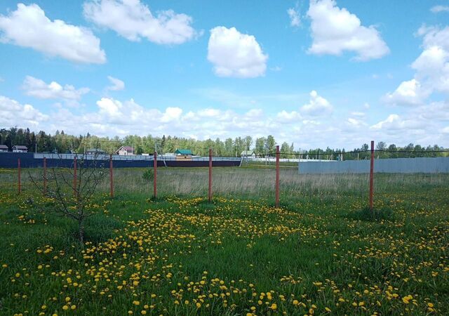 9783 км, Чехов, Симферопольское шоссе фото