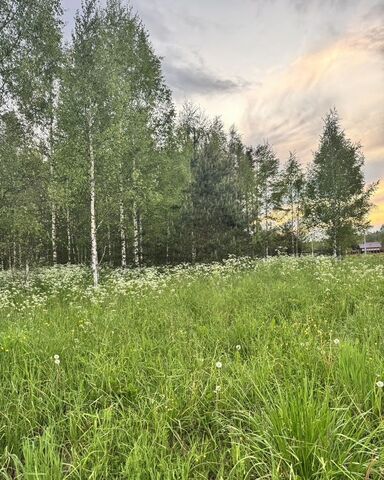 дом 25 Таллинское шоссе, 9814 км, Сабское сельское поселение, Кингисепп фото