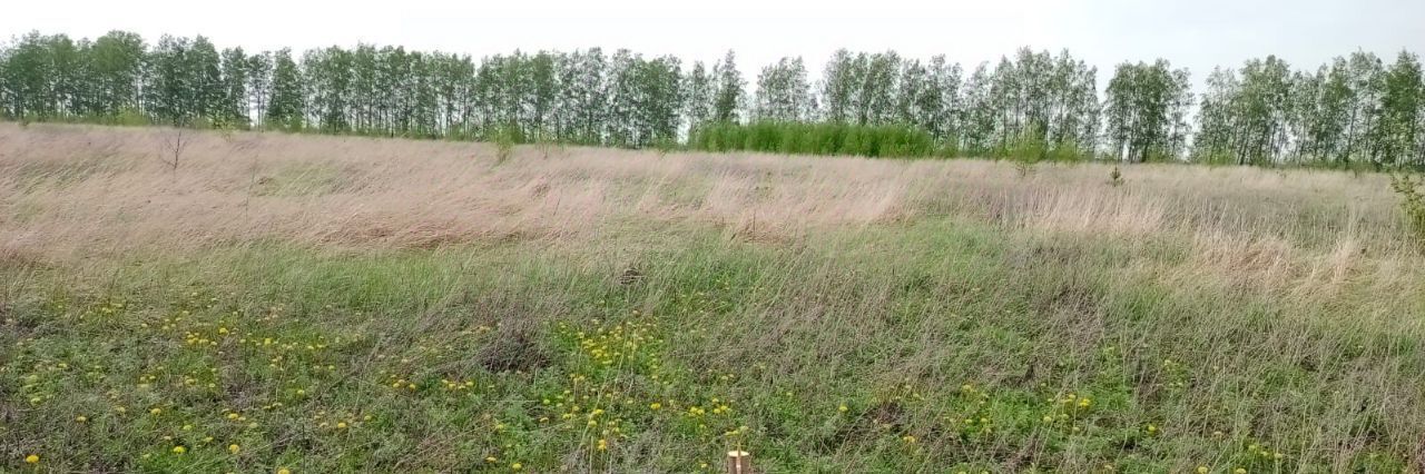 земля г Тамбов Малиновка микрорайон ул Челнавская фото 9