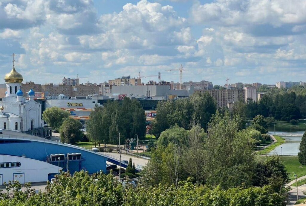 квартира г Смоленск р-н Промышленный ул Попова 30 фото 15