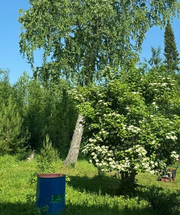 земля г Томск п Родионово ул Полянка р-н Советский Родионово фото 2