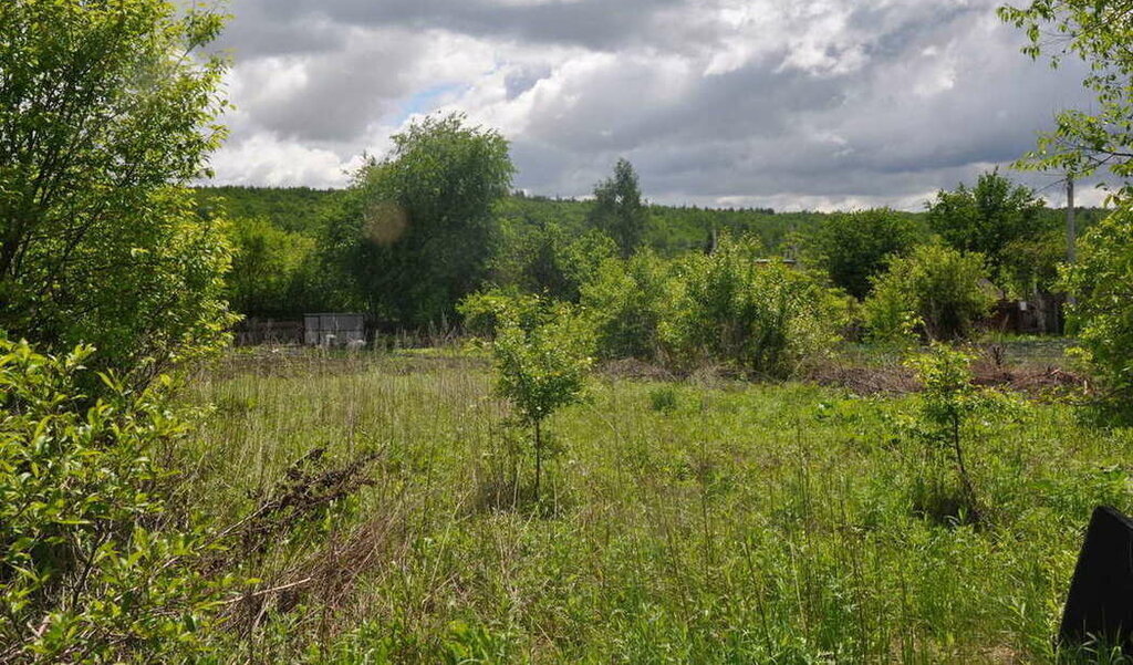 земля г Благовещенск садовые участки фото 3
