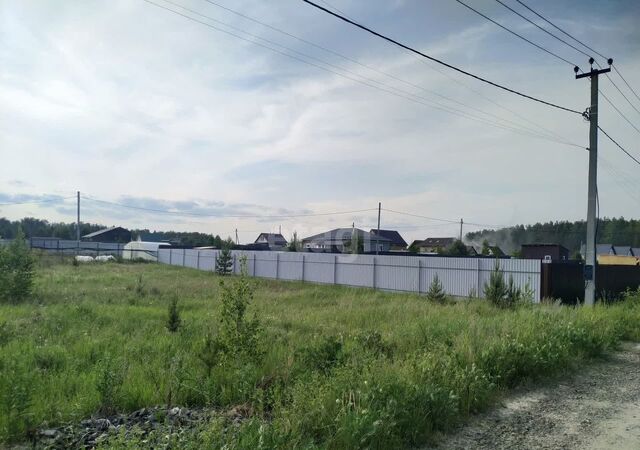 ДНТ Станица, Екатеринбург фото