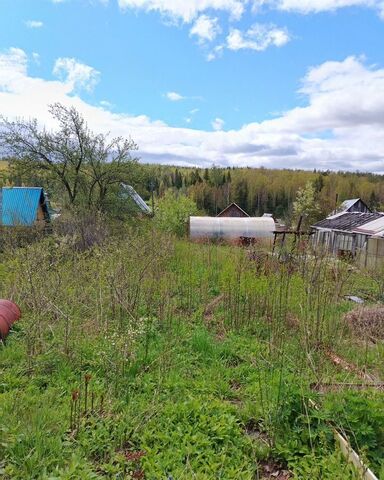 сад тер КоллективныйN 11 фото