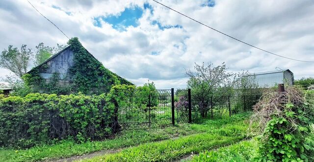 снт Оазис ул 10-я линия 166 сельсовет, Оренбургский р-н фото