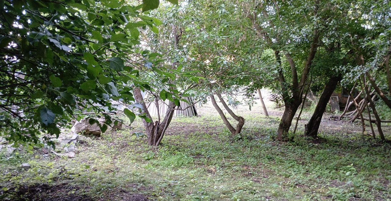 земля г Коломна ул Речная 2 83 км, Новорязанское шоссе фото 1