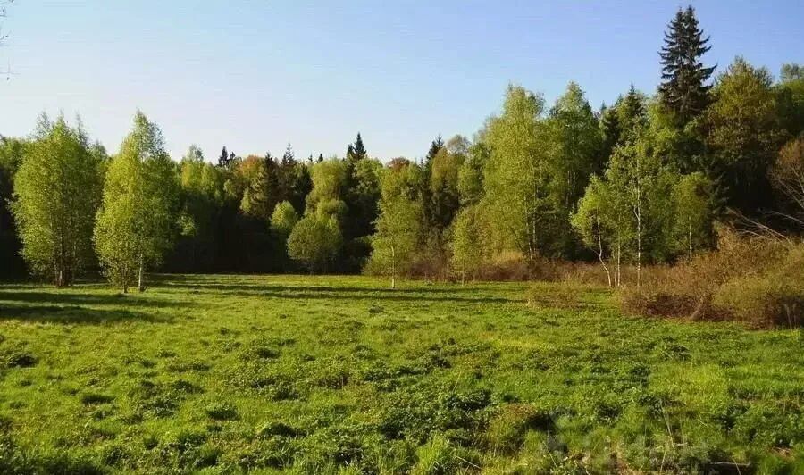 земля г Домодедово п Михнево 45 км, Солнечная ул, с. Вельяминово, Новокаширское шоссе фото 3