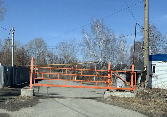 снт Кедр Бердское шоссе фото