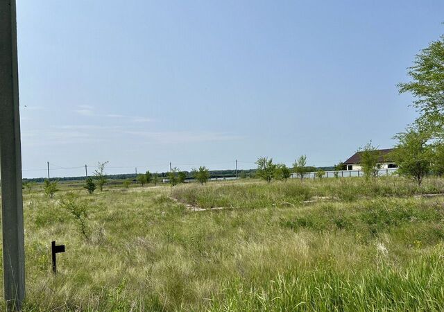 ул Казачья Каменноозёрный сельсовет, Нежинка фото