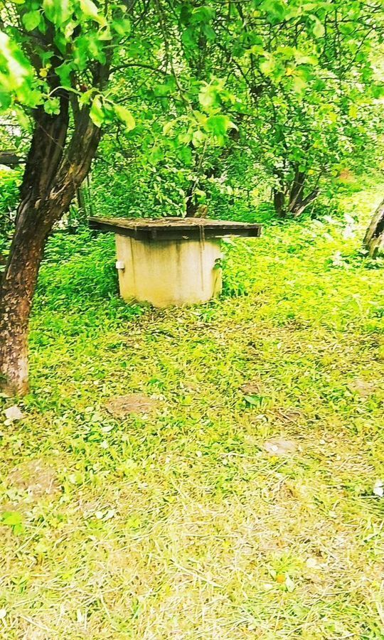 земля городской округ Сергиево-Посадский г Хотьково 40 км, 8, садовое товарищество Химик-2, Ярославское шоссе фото 4