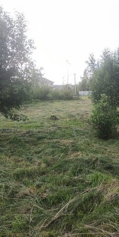 земля КП Новое Тяжино, 508 фото