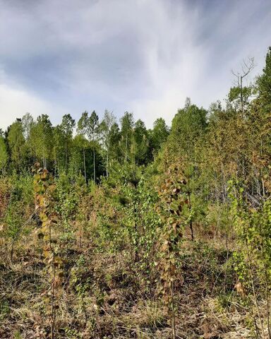 снт Искра ул Снежная 240 Иркутск фото