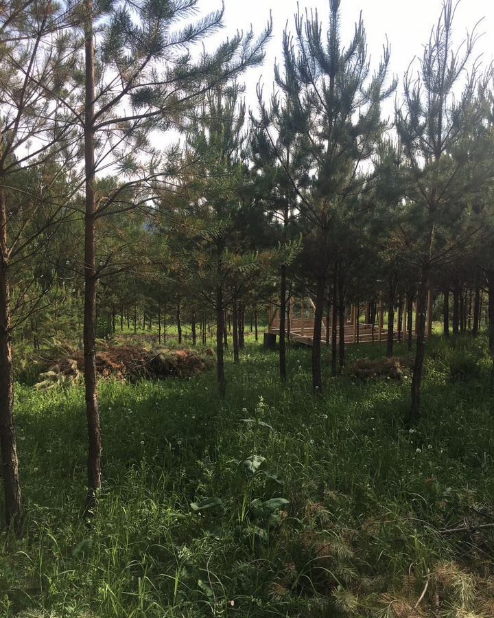 земля г Дивногорск с Овсянка п Манский ул Вторая Лесная фото 1
