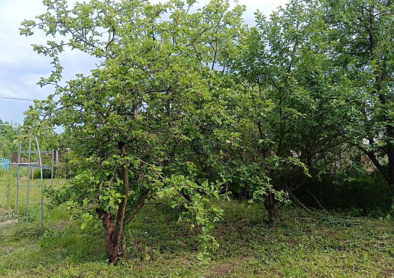 дом г Тула р-н Зареченский СНТ Энергетик-2, 26, Барсуки фото 4