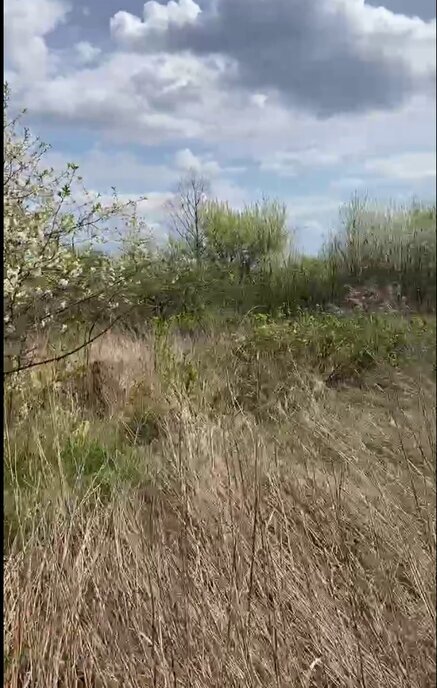 земля р-н Черняховский г Черняховск фото 5