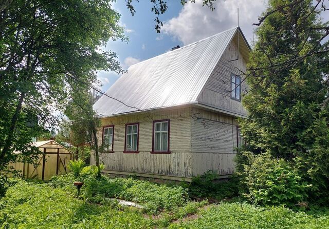 п Мшинская Киевское шоссе, 85 км, Мшинское сельское поселение, садоводческое некоммерческое товарищество Краностроитель, Толмачево фото