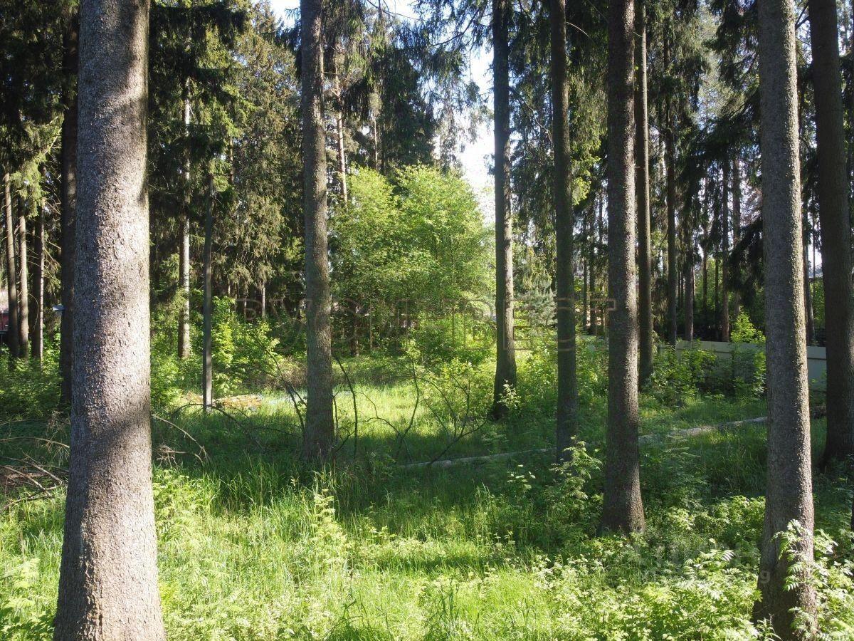 земля р-н Всеволожский г Всеволожск ул Каменерская фото 1