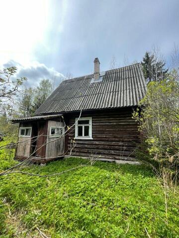 п Красный Маяк Мшинское сельское поселение, Дружная Горка, Мшинская фото