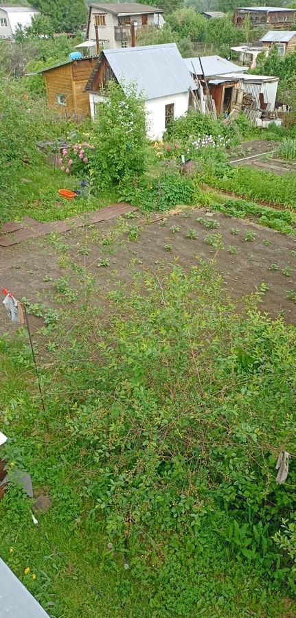 дом г Барнаул р-н Центральный снт Октябрьский садовод 16-я ул., 588 фото 5
