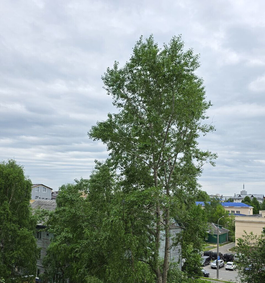 квартира г Архангельск р-н Октябрьский округ ул Вологодская 1 фото 16