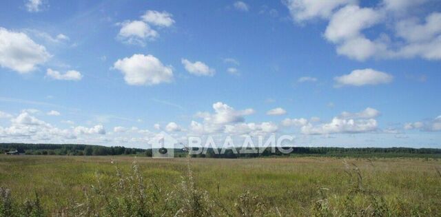 ул Центральная фото