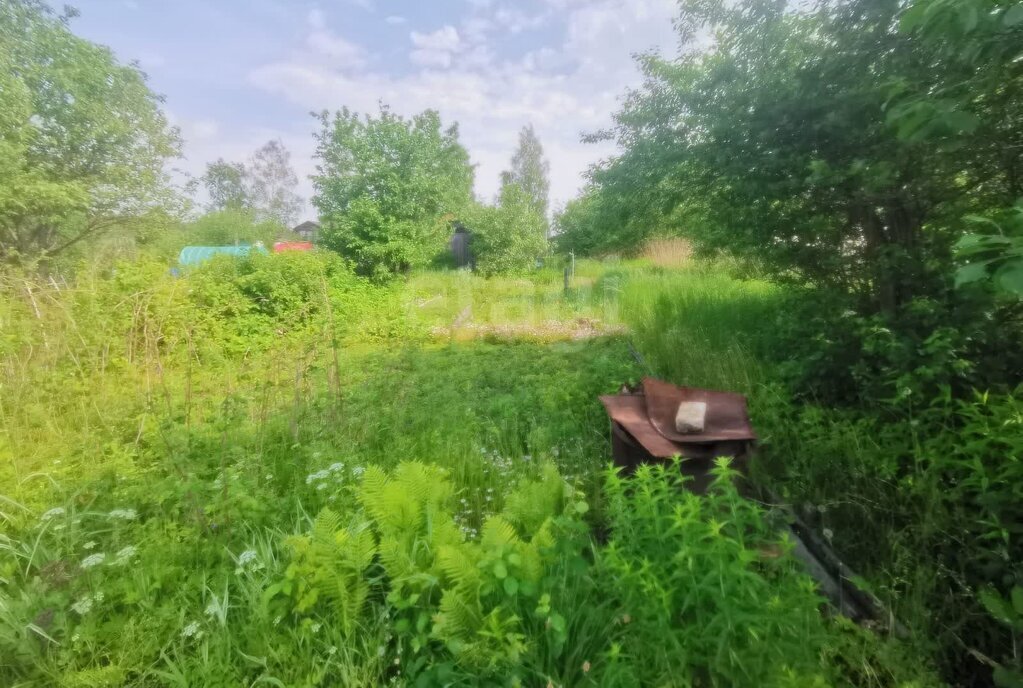 земля г Кострома СТ Знамя Труда фото 7