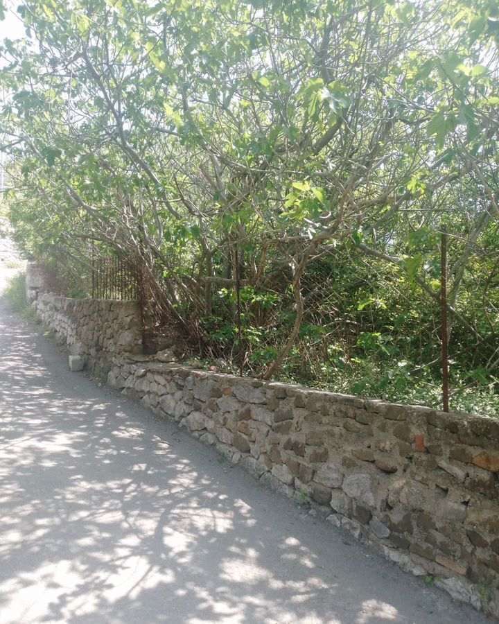 земля г Ялта с Оползневое ул Кизиловая г Алупка фото 3