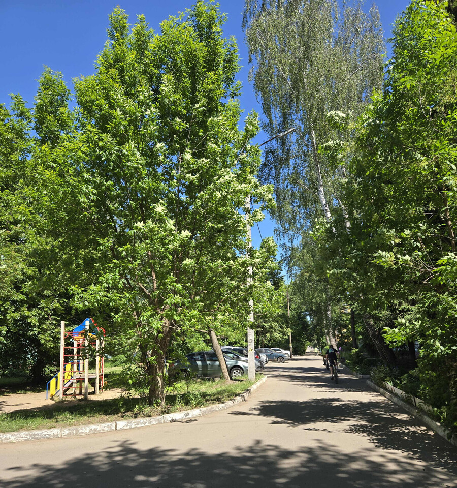 квартира г Орел р-н Северный ш Московское 149 фото 1