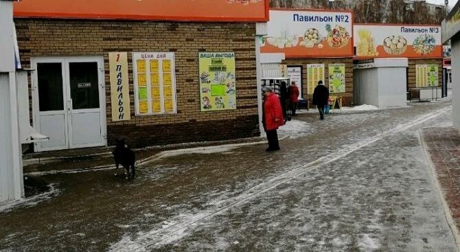торговое помещение г Нижний Новгород р-н Автозаводский Парк культуры Мончегорский ул Маковского 17а фото 2
