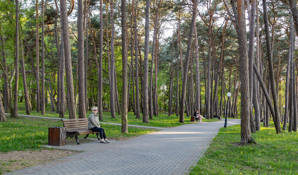 квартира г Пионерский ул Гептнера 15 фото 21