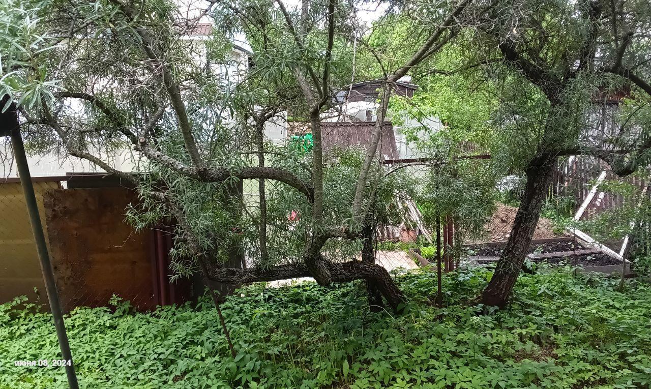 дом г Одинцово снт терПоляна Бородковское 194, Одинцовский городской округ, Лесной Городок фото 12