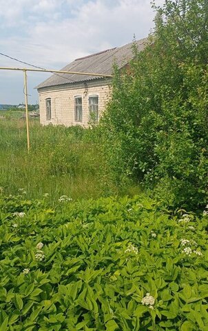 ул Толстого 43 фото