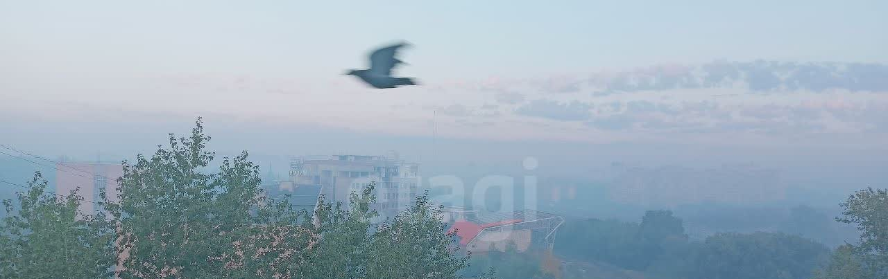 квартира г Балашиха мкр Южный ул Пионерская 1 м-н фото 4