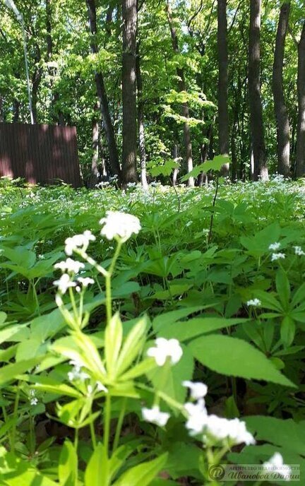 земля г Самара п Мехзавод ул Гидроузловская Юнгородок фото 2