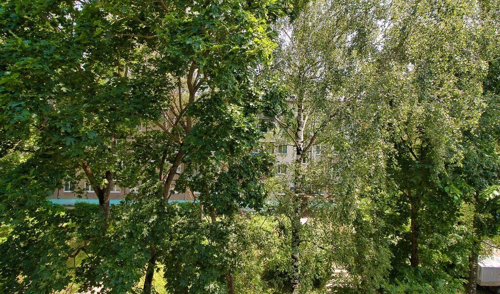 квартира г Владимир ул Лакина 155а фото 29