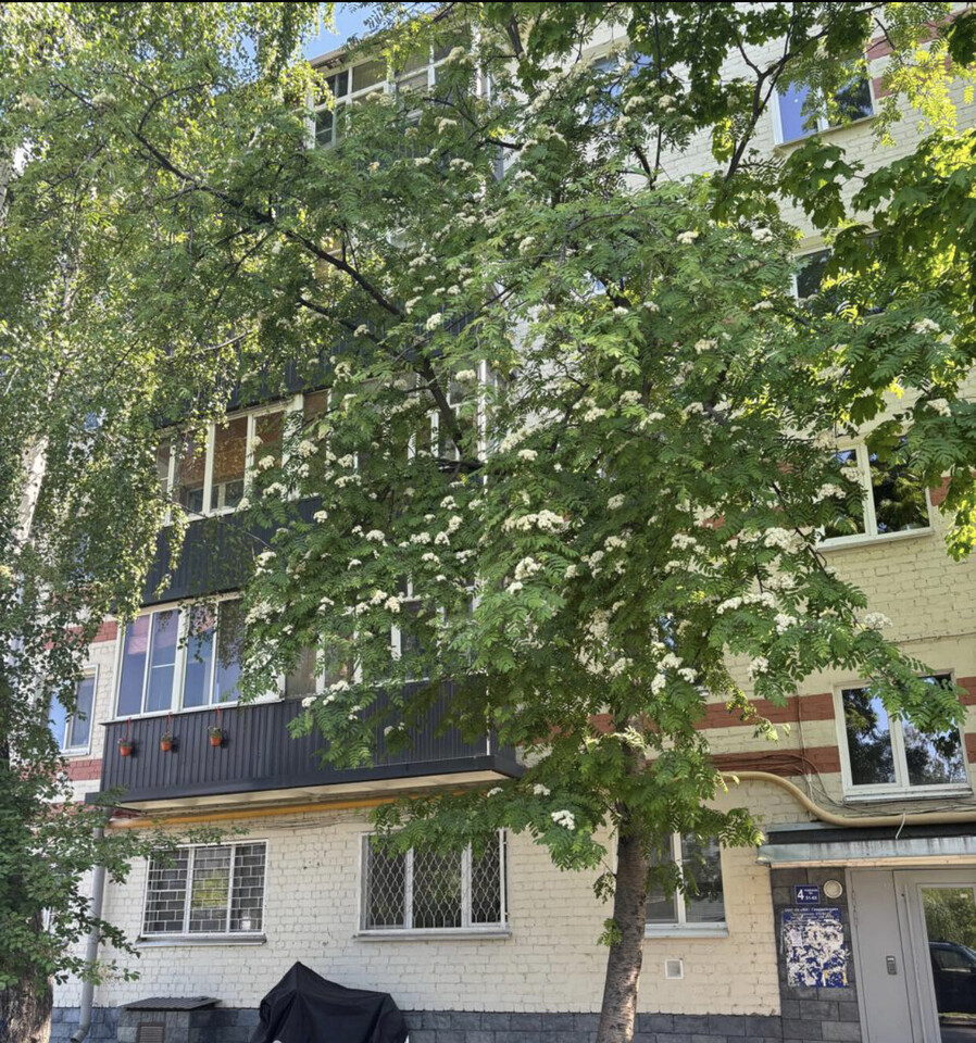 квартира г Казань ул Гвардейская 52 Аметьево фото 2